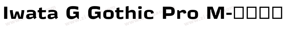 Iwata G Gothic Pro M字体转换